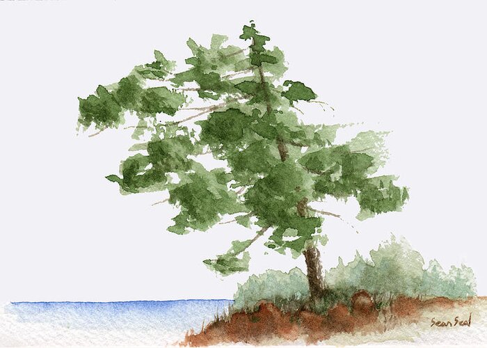 Tree Greeting Card featuring the painting Little Tree 3 by Sean Seal