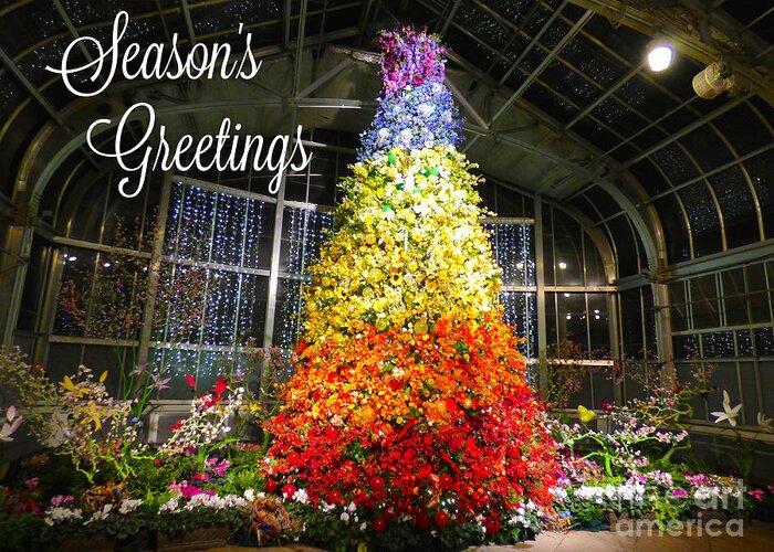 Christmas Greeting Card featuring the photograph Living Color Season's Greetings by Jean Wright