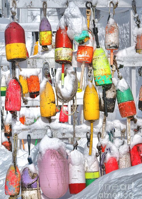 Maine Greeting Card featuring the photograph Lobster Trap Buoys Collection in Snow by Olivier Le Queinec