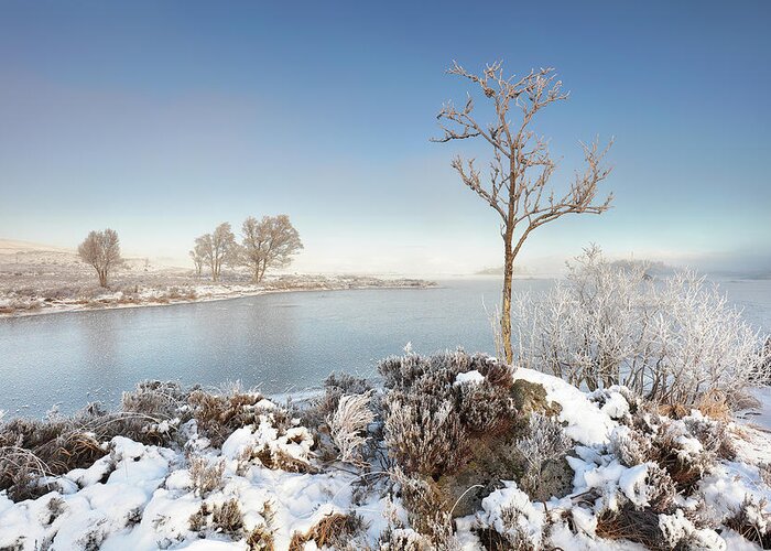 Glencoe Greeting Card featuring the photograph Loch Ba Winter by Grant Glendinning