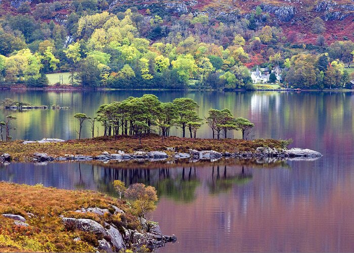 Scotland Greeting Card featuring the photograph Loch Maree in Autumn by John McKinlay