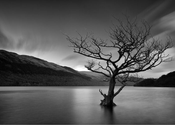 Loch Lomond Greeting Card featuring the photograph Loch Tree by Grant Glendinning