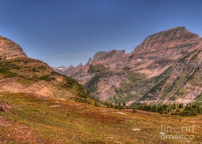 Glacier National Park Greeting Card featuring the photograph Logan Pass by David Bearden