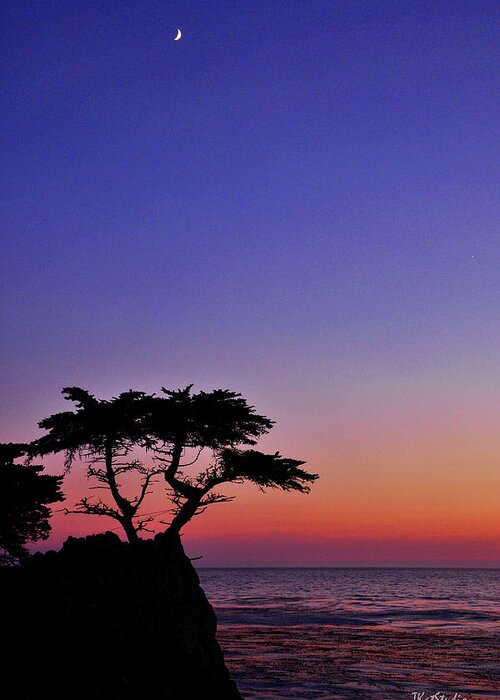 Cypress Greeting Card featuring the photograph Lone Cypress Tree at Pebble Beach by Tim Kathka