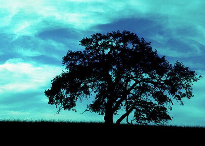 Oak Greeting Card featuring the photograph Lone Oak by Jim And Emily Bush