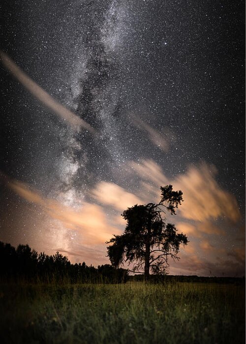 Astrophotography Greeting Card featuring the photograph Lone Tree, Milky Way, Late Summer by Jakub Sisak