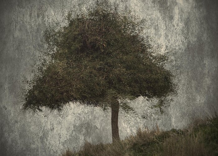 Alone Greeting Card featuring the photograph Lonely Tree by Stelios Kleanthous