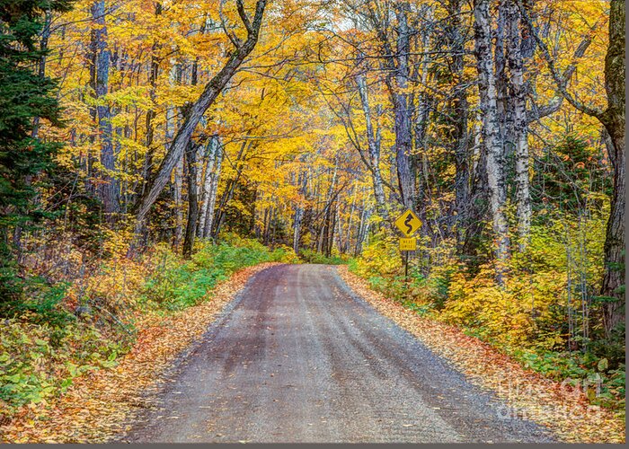 Autumn Greeting Card featuring the photograph Long and Winding Autumn Roads North Shore Minnesota by Wayne Moran