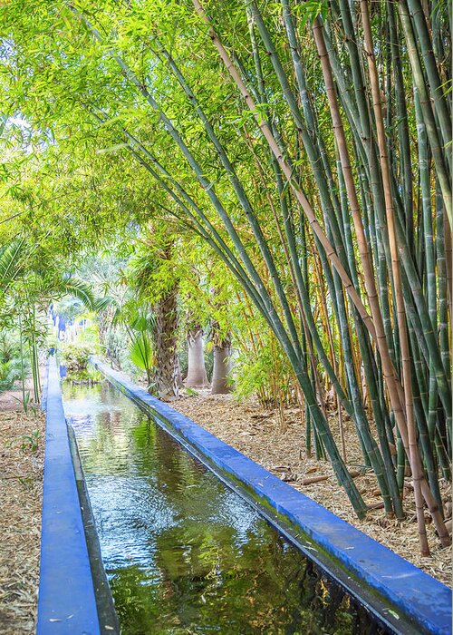 Jardin Majorelle Greeting Card featuring the photograph Long Pond by Svetlana Sewell