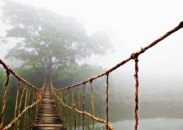 Jungle Journey Greeting Card featuring the photograph Long Rope Bridge by Skip Nall
