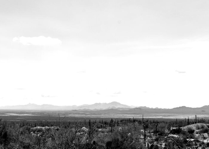 Desert Greeting Card featuring the photograph Looking Across by Melisa Elliott