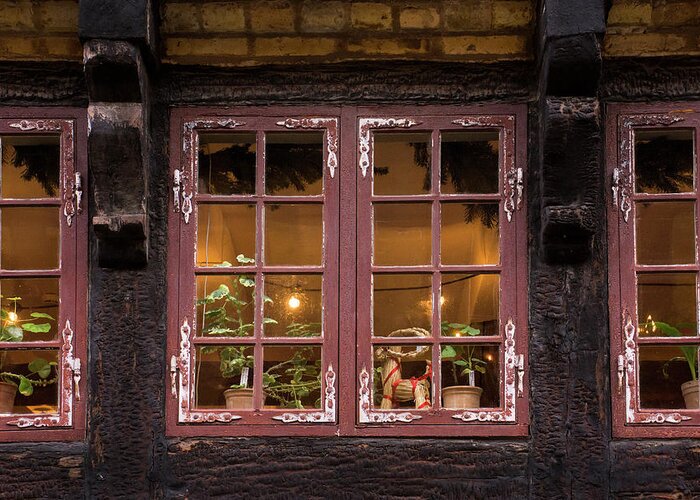 Window Greeting Card featuring the photograph Looking in - 365-274 by Inge Riis McDonald