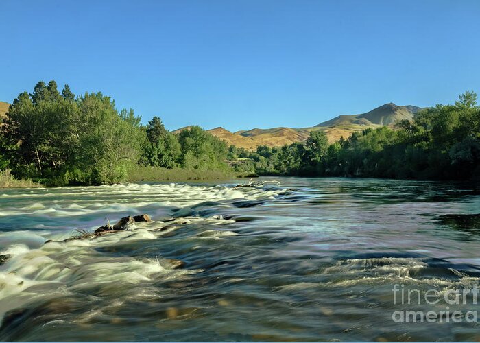 Emmett Greeting Card featuring the photograph Looking Up The Payette by Robert Bales