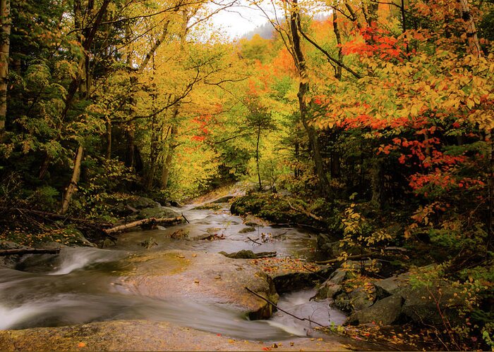 #jefffolger Greeting Card featuring the photograph Lost River Fall Colors by Jeff Folger