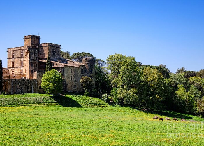 Lourmarin Greeting Card featuring the photograph Lourmarin Castle by Olivier Le Queinec