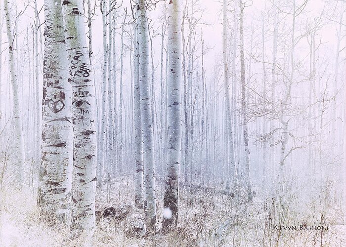 Landscape Greeting Card featuring the photograph Love Amidst the Aspens by Kevyn Bashore