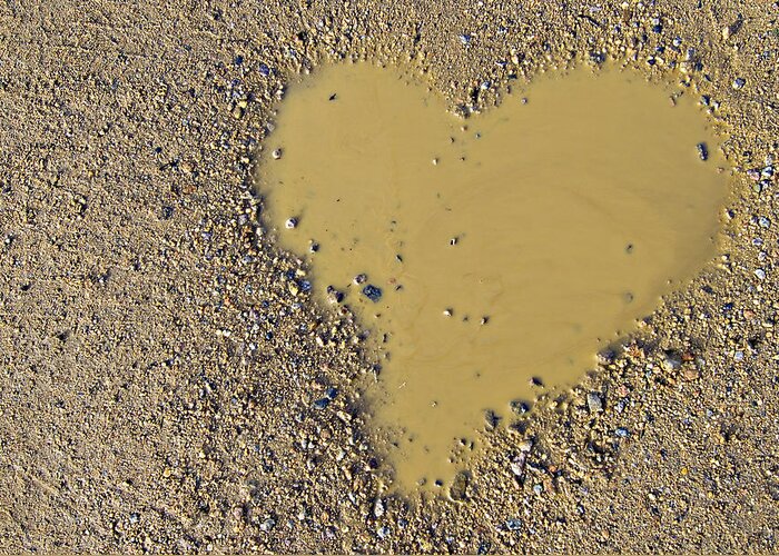 Love Greeting Card featuring the photograph Love In A Muddy Puddle by Meirion Matthias