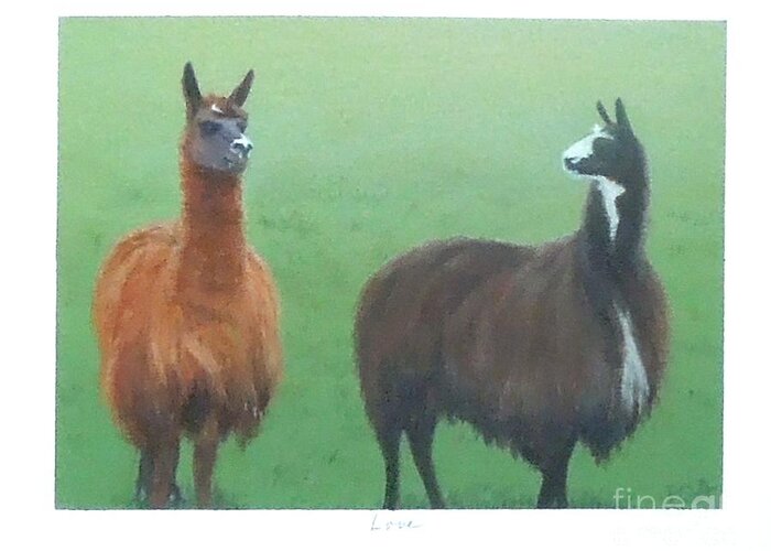 Two Llamas Greeting Card featuring the painting Love by Phyllis Andrews