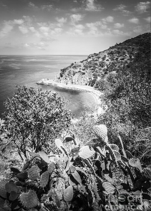 America Greeting Card featuring the photograph Lover's Cove Catalina Island Black and White Photo by Paul Velgos