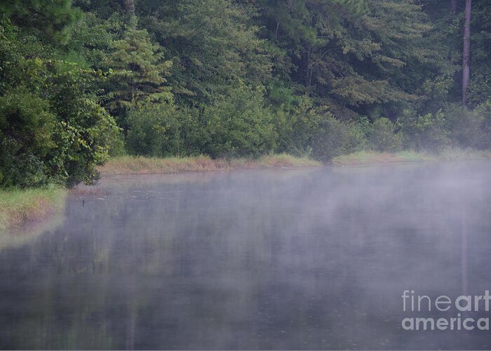 Fog Greeting Card featuring the photograph Lowcountry Morning Lake Fog by Dale Powell