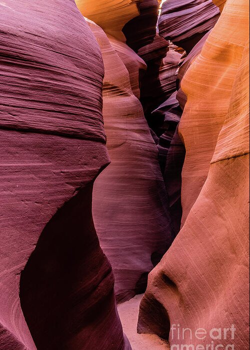 Lower Antelope Canyon Greeting Card featuring the photograph Lower Antelope Canyon by Craig Shaknis