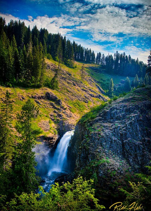  Greeting Card featuring the photograph Lower Falls - Elk Creek Falls by Rikk Flohr