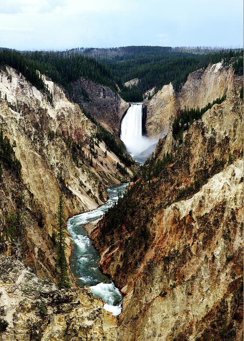 Wyoming Greeting Card featuring the photograph Lower Yellowstone Falls by Eric Foltz