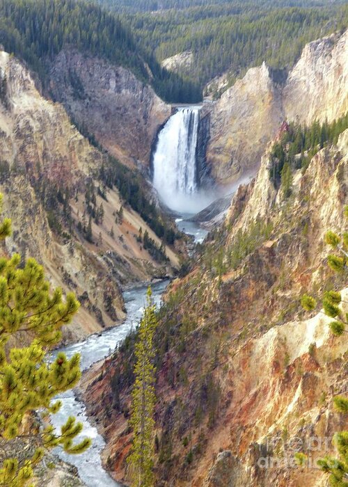 Falls Greeting Card featuring the photograph Lower Yellowstone Falls from Artist Point by Jean Wright