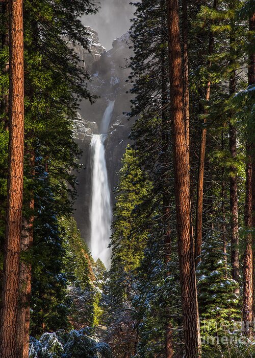 Yosemite Greeting Card featuring the photograph Lower Yosemite Falls by Anthony Michael Bonafede