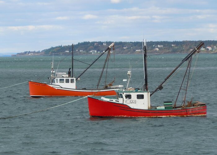 Lobster Boats Greeting Card featuring the photograph Lubec Lobster Boats by Francine Frank