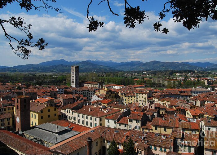 Lucca Greeting Card featuring the photograph Lucca - Italy - from the top by Carlos Alkmin