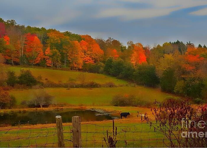 Autumn Greeting Card featuring the photograph Lucky Cow by Dani McEvoy