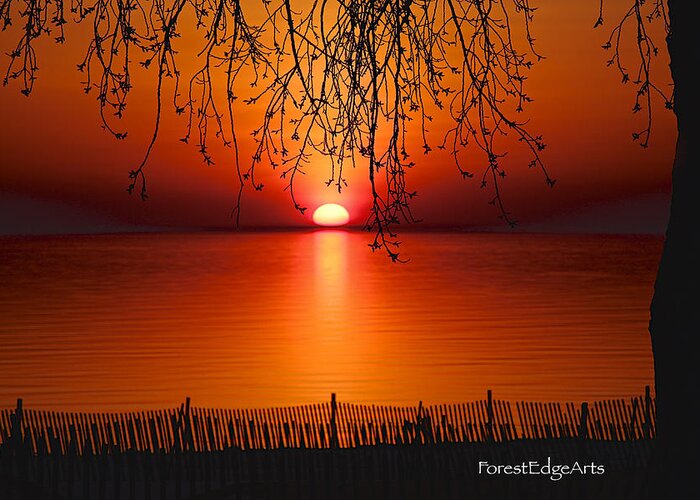 Photo Greeting Card featuring the photograph Ludington Sunset April 2016 by Dick Bourgault