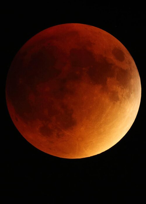 Lunar Greeting Card featuring the photograph Lunar Eclipse 1 by Coby Cooper