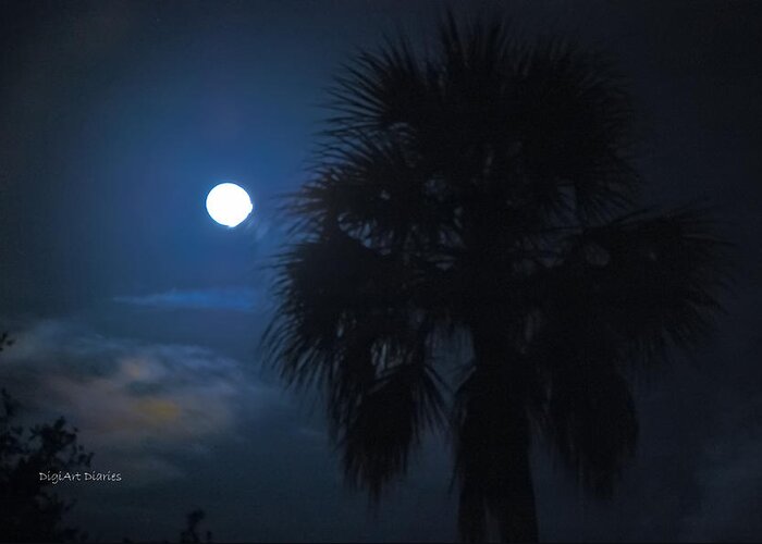 Lunar Greeting Card featuring the photograph Lunar Palm by DigiArt Diaries by Vicky B Fuller