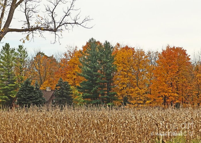 Fall Colors Greeting Card featuring the photograph M Landscapes Fall Collection No. LF60 by Monica C Stovall