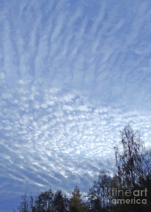 Mackerel Sky Greeting Card featuring the photograph Mackerel Sky by Phil Banks