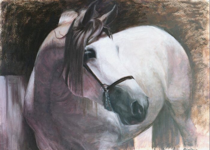 Horse Paintings Greeting Card featuring the painting Madiera by Sciandra 
