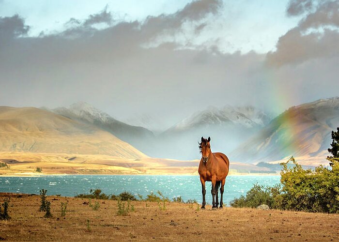New Zealand Greeting Card featuring the photograph Magical Tekapo by Chris Cousins