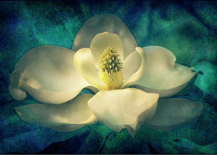 Magnolia Greeting Card featuring the digital art Magnolia Blossom by Sandra Selle Rodriguez
