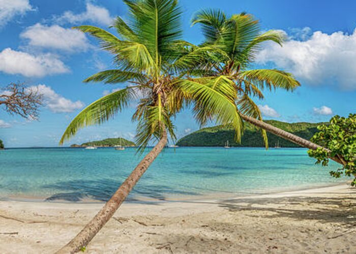 Caribbean Greeting Card featuring the photograph Maho Panorama by Gary Felton