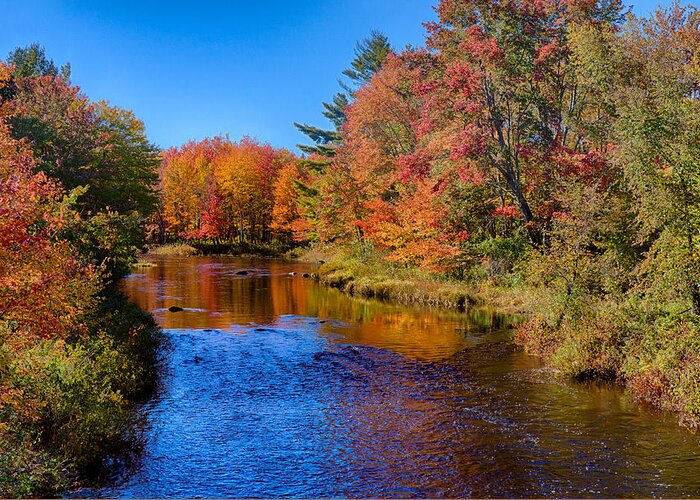 Maine Fall Colors Greeting Card featuring the photograph Maine brook in Afternoon with fall color reflection by Jeff Folger