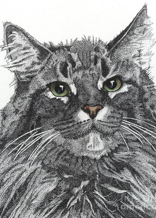 Maine Coon Greeting Card featuring the drawing Maine Coon by Jennefer Chaudhry
