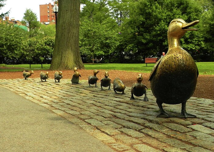 Boston Greeting Card featuring the photograph Make Way For The Ducklngs by Kathleen Moroney