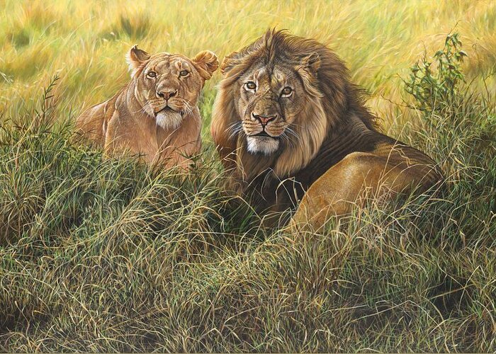 Wildlife Paintings Greeting Card featuring the painting Male and Female Lion by Alan M Hunt