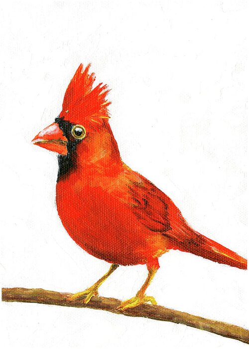Cardinal Greeting Card featuring the painting Male Cardinal by Donna Tucker