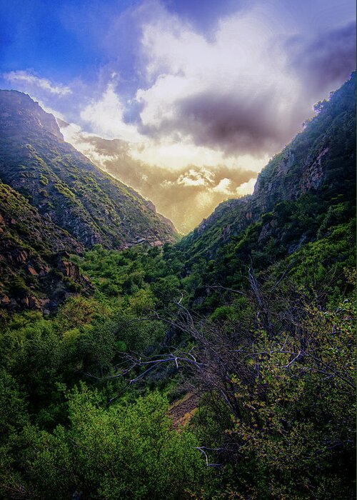 Gorge Greeting Card featuring the photograph Malibu Canyon Cloud Rise by Joseph Hollingsworth