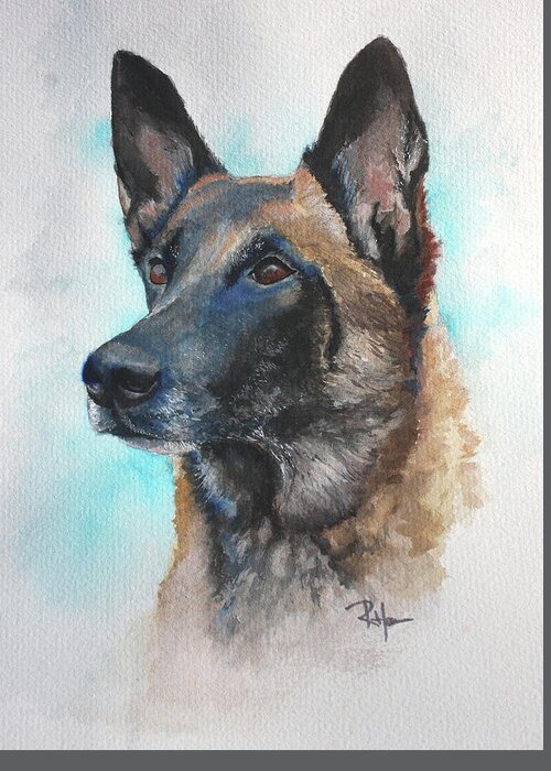 Pet Portraits Greeting Card featuring the painting Malinois by Rachel Bochnia