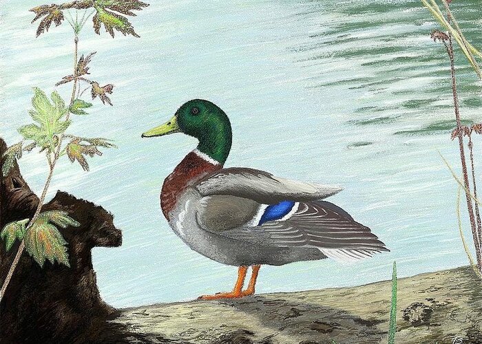 Duck Greeting Card featuring the digital art Mallard 2010 by Troy Stapek