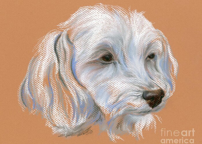 Dog Greeting Card featuring the pastel Maltipoo Portrait by MM Anderson
